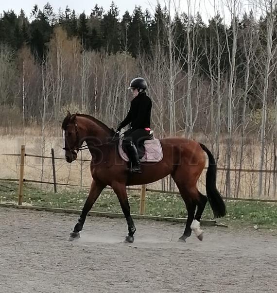Fendi Boko