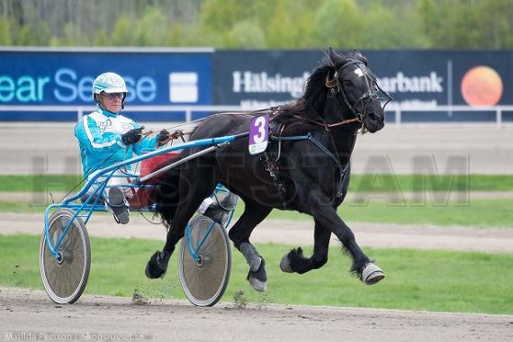 Bodbäcksfaksa