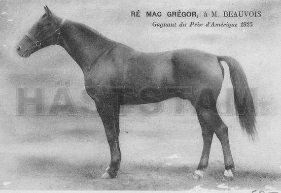 Re Mac Gregor (FR)