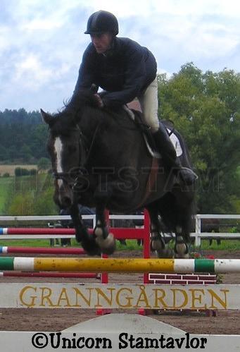Corint (68)