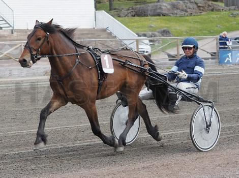 Fina Tormod