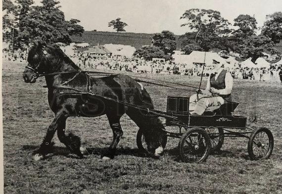 Stainton Prince