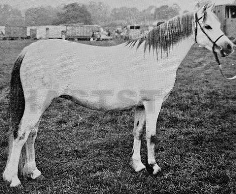 Llanerch Selina