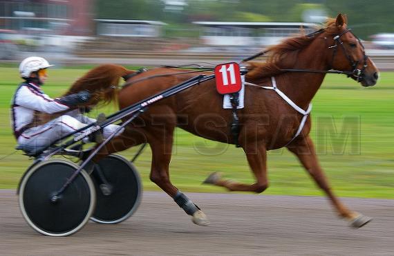 Gigant Tilly