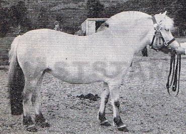 Anitra
