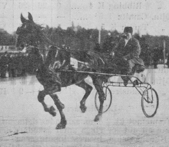 Karatgossen