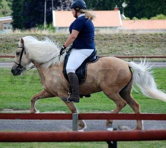 Salka frá Eyrarbakka
