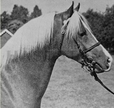 Seaholm Fabian