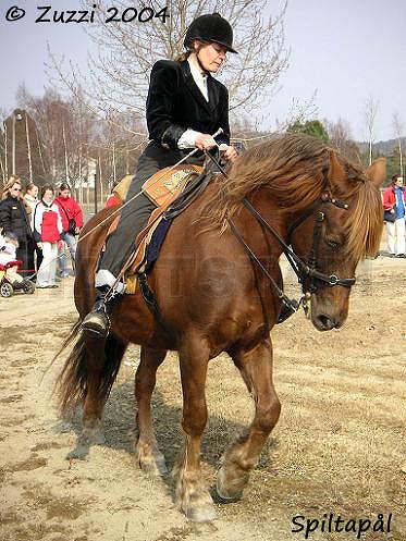 Spiltapål