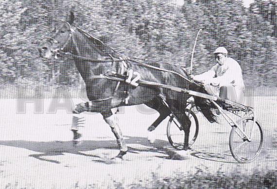 Harvest Hanover