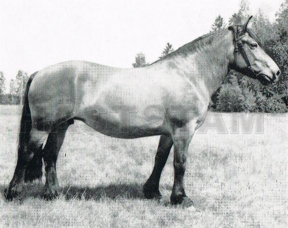 Krony