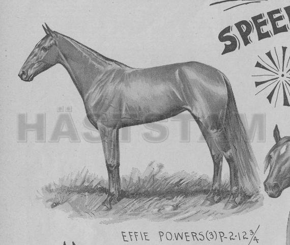 Effie Powers (US)