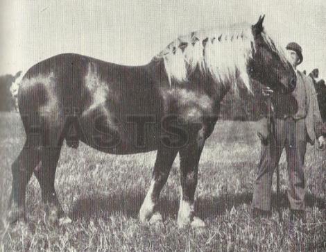 Vaston