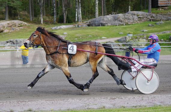 Heldig R.B.