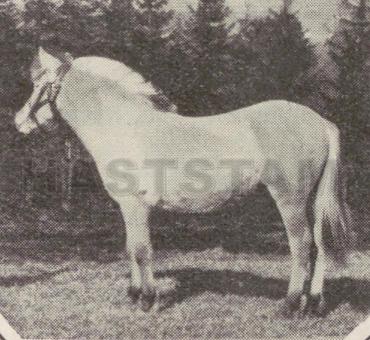 Åshild