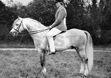 Shalbourne Sir John