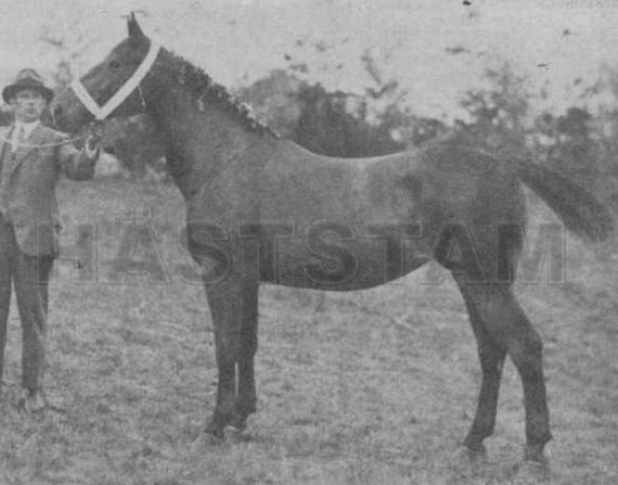 Tuspata I