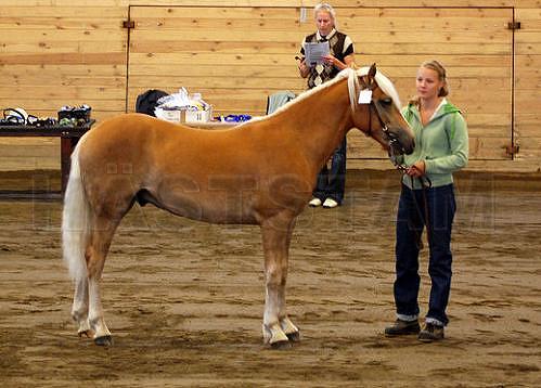 Winnetou