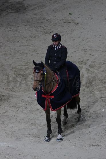 Lucifer van de Maltahoeve
