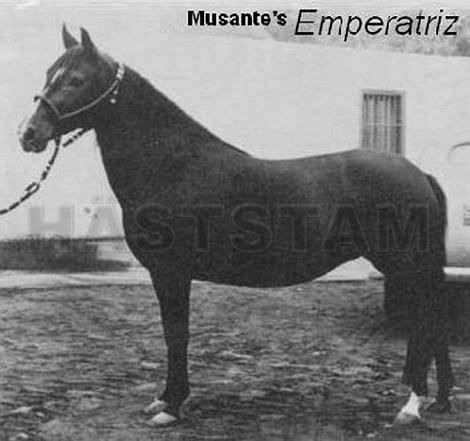 Emperatriz