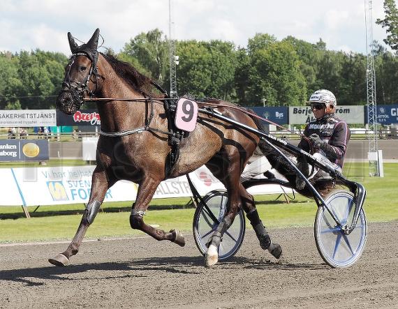 Ninepoints Birdie