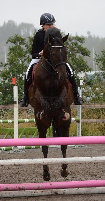 Attyrory Darky