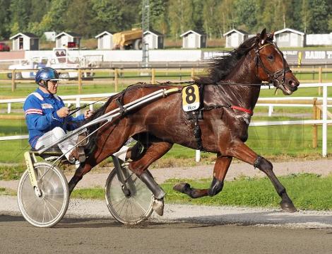 LadyGaagaa Gertorp