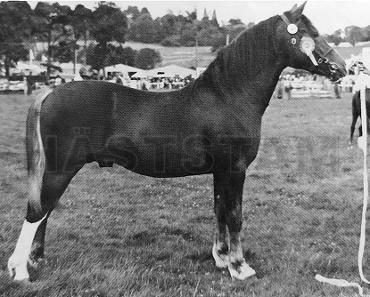 Ross Valiant Jack