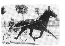 Farand Hanover (US)