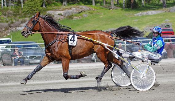 Adam Kievitshof (DE)