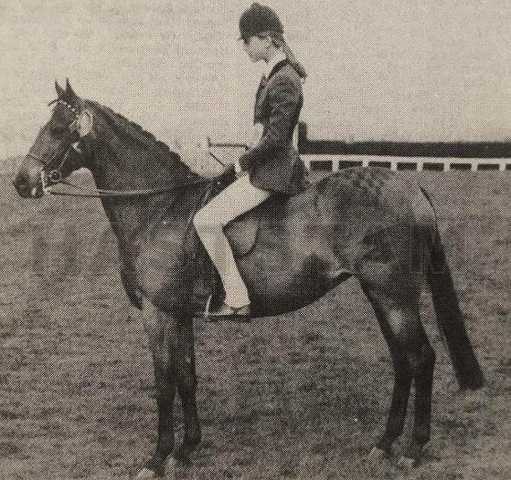 Cusop Heiress