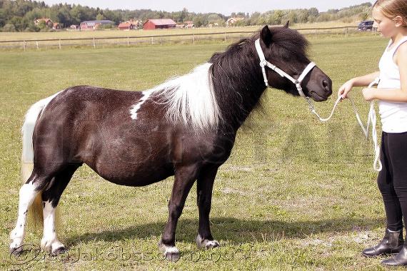 Beatrix af Jäboruder