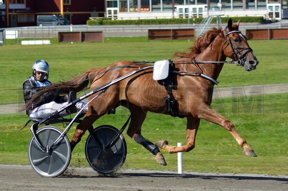 Balfour (FR)