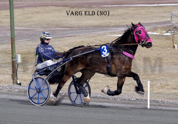 Varg Eld (NO)