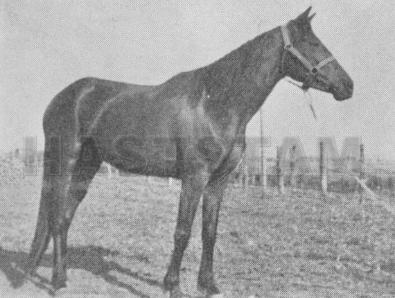 Stina Hanover