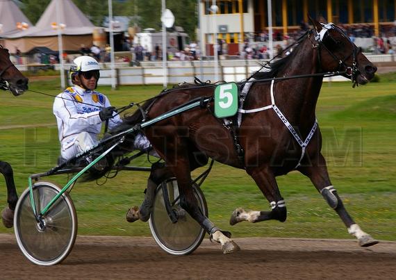 Veikko Hornline