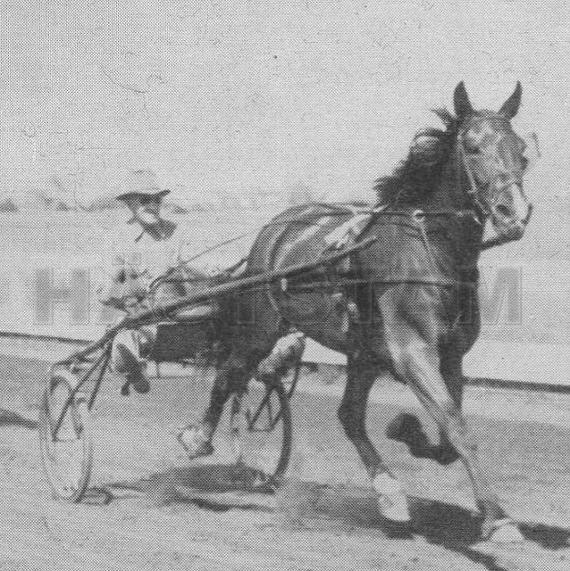 Twilla Hanover (US)