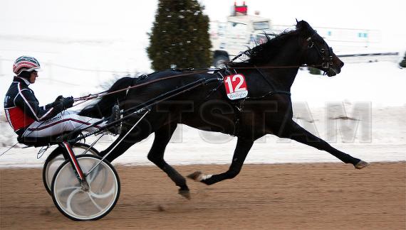 Saxo Holmsminde (DK)