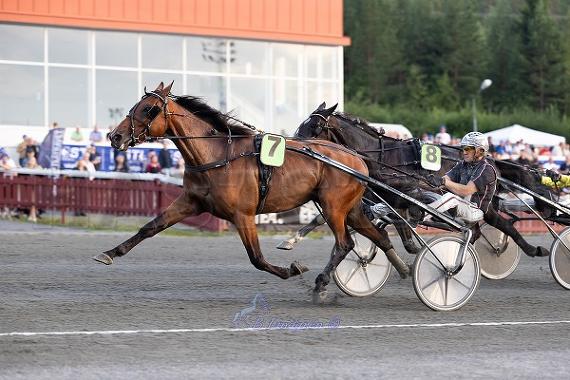Guvenör Godiva
