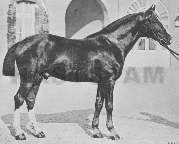 Galba (FR)