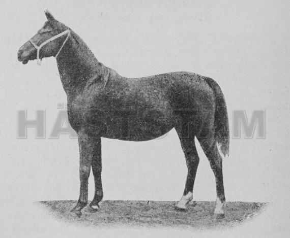 47 O'Bajan