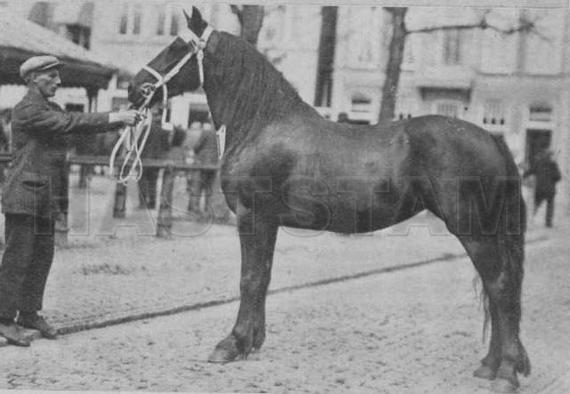 Hoatske