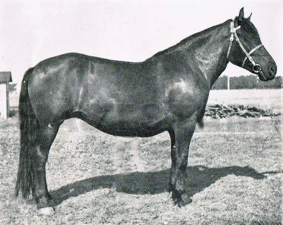 Patra