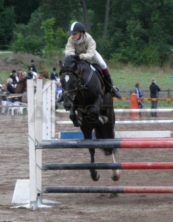 Bellstone Blaze