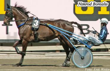 Nimrod Borealis (FR)