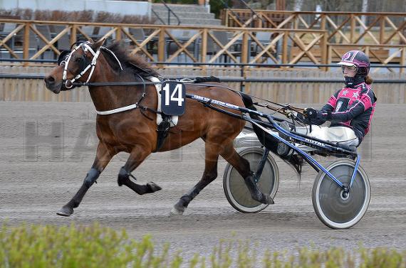 Embla Tess