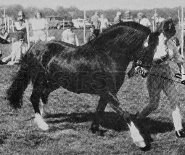 Tanlan Deryn O'Fon