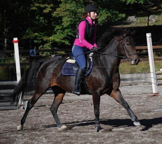 Belindas Jumping Bunny