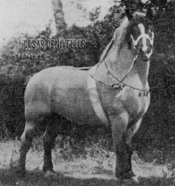 César de Nivelles