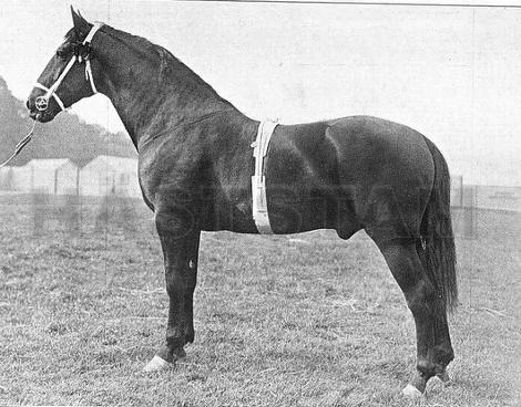 Beadlam Fred